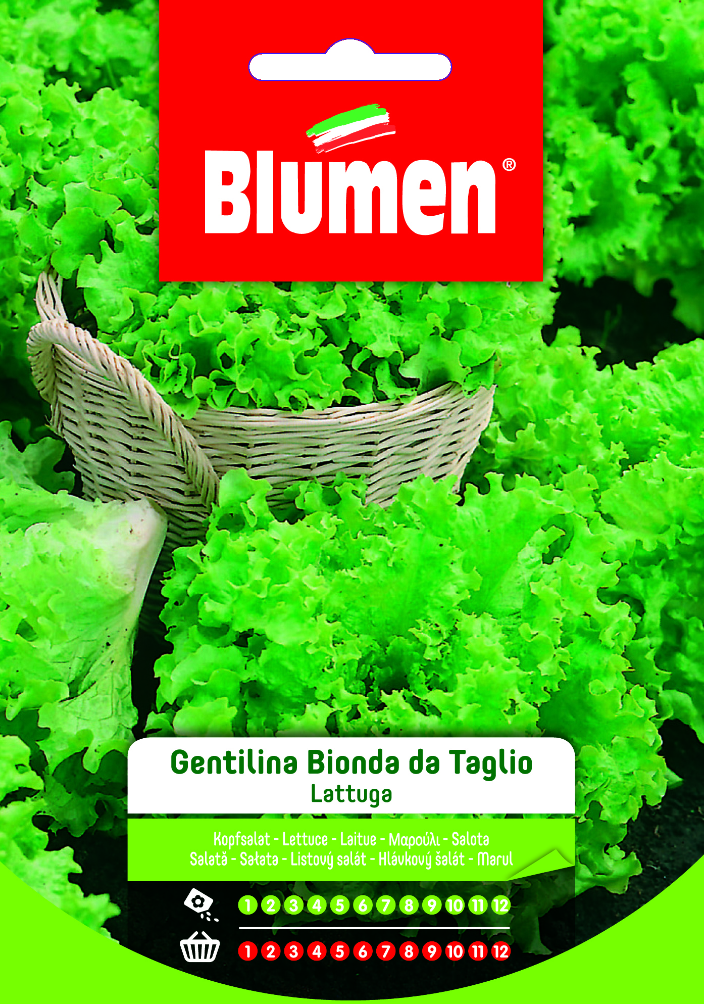 Blumen Klasszikus - Szőke gentilina fodros saláta