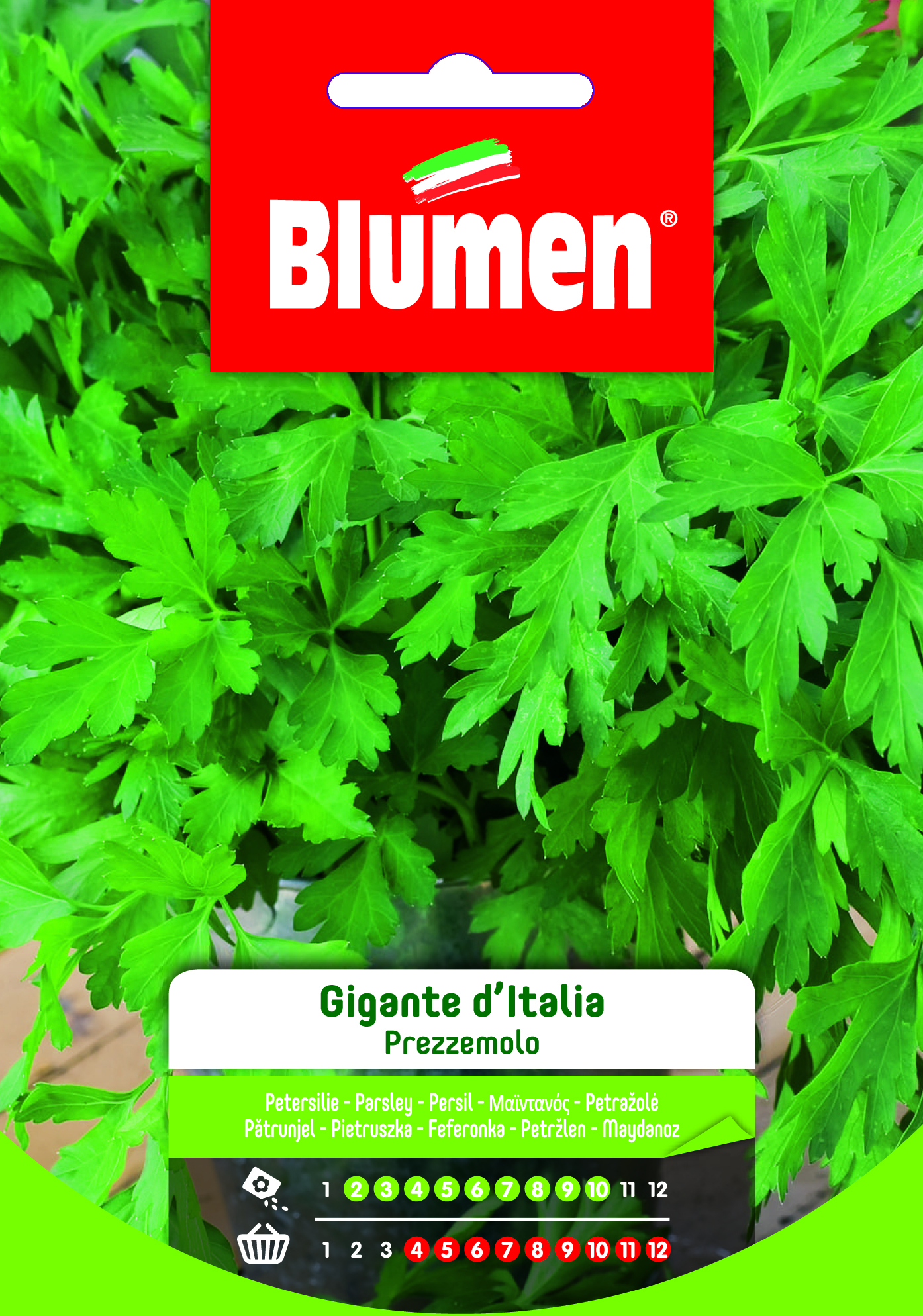 Blumen Klasszikus - Olasz óriáspetrezselyem