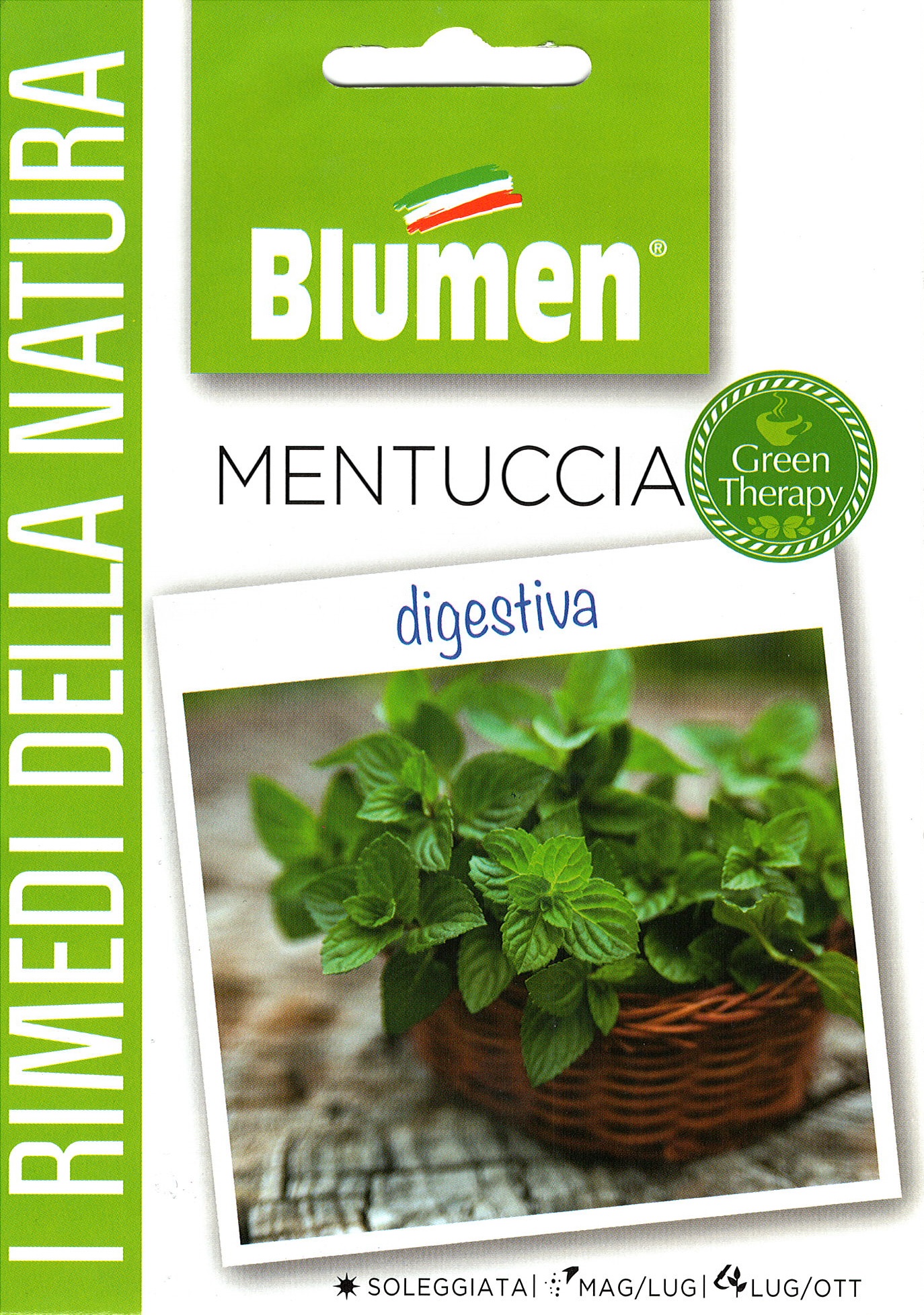 Blumen Gyógynövény - Menta - az emésztést segítő