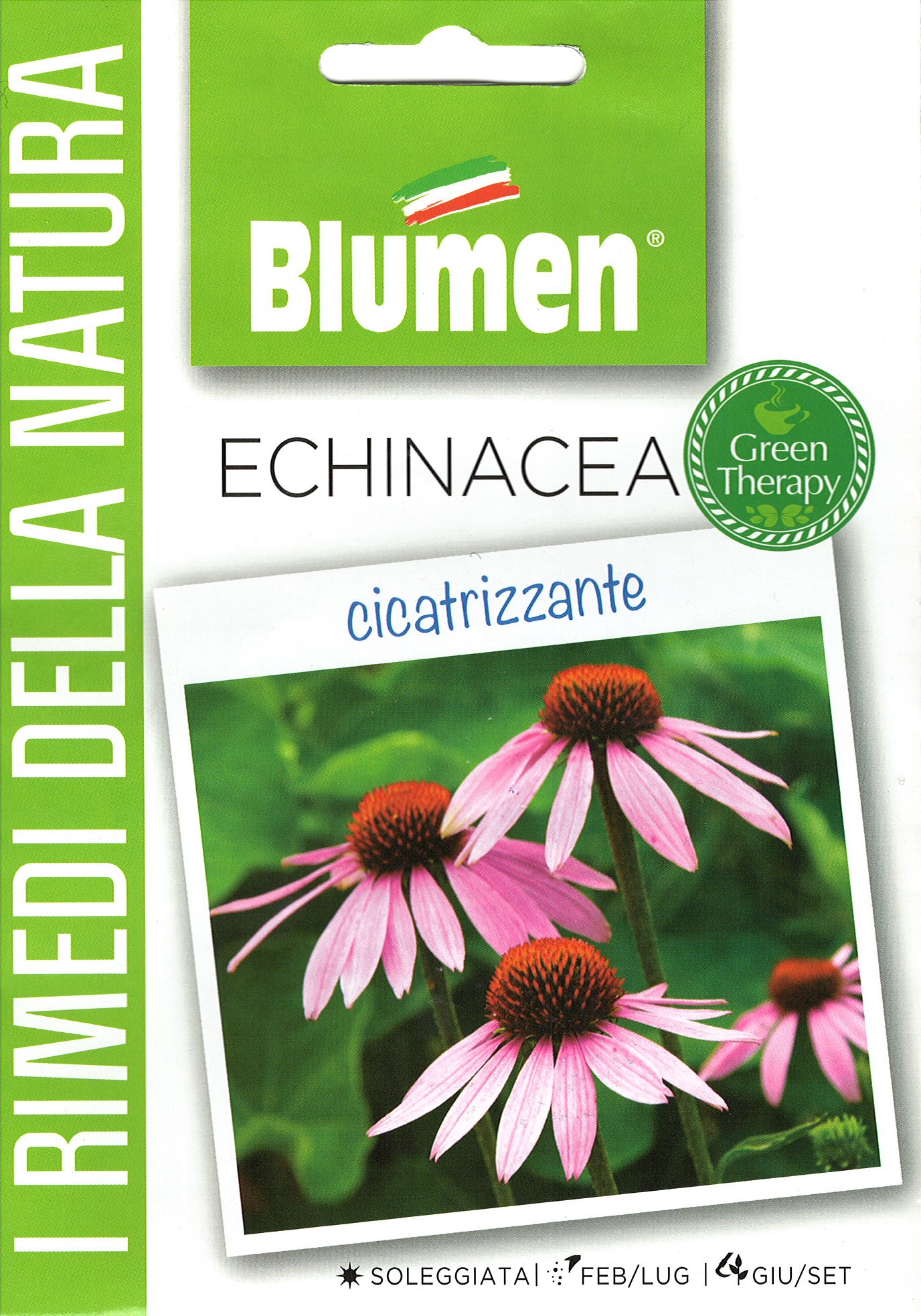 Blumen Gyógynövény - Echinacea - gyógyító hatású