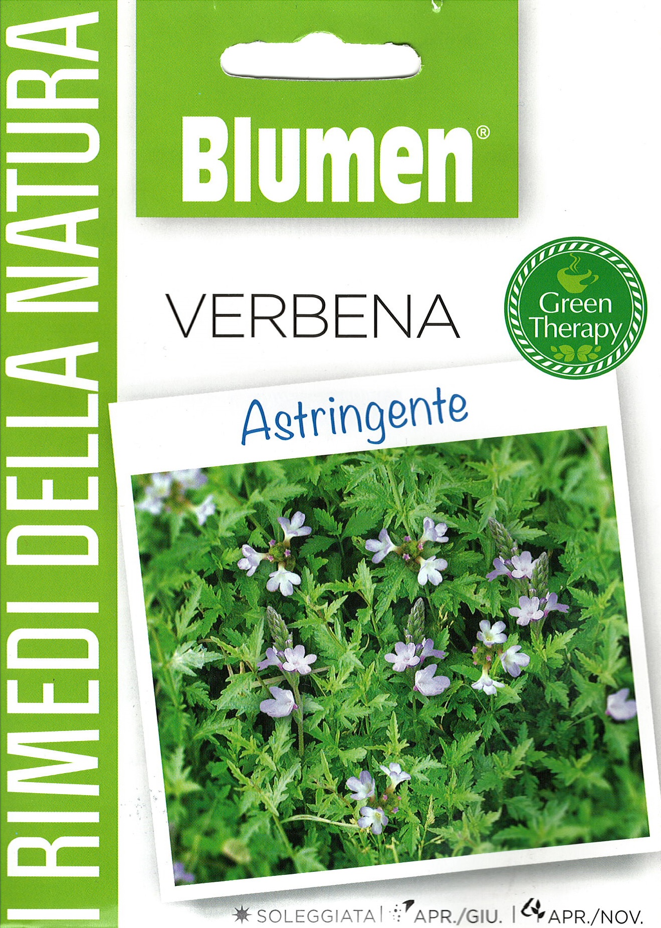 Blumen Gyógynövény - Verbéna - összehúzó hatású