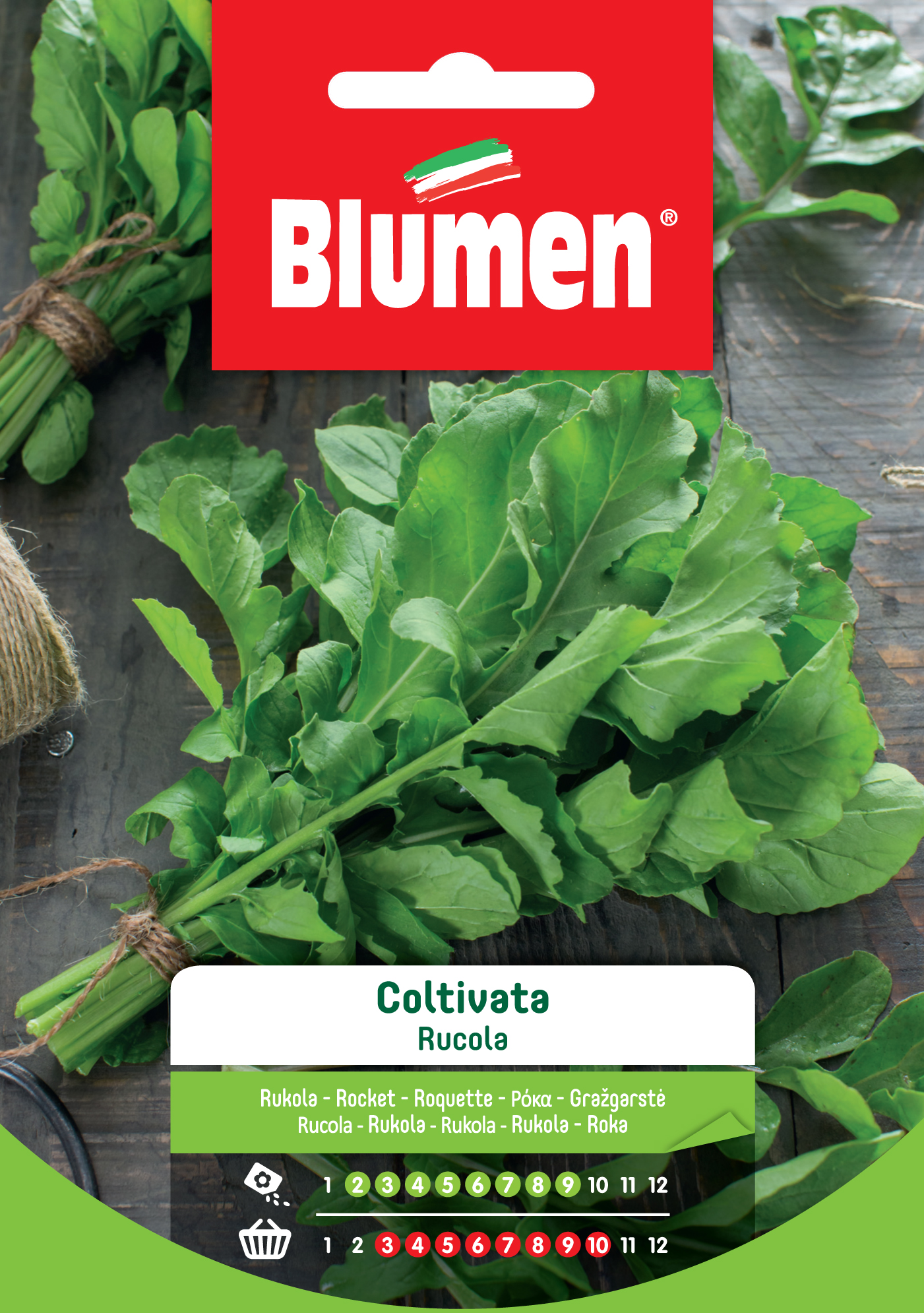 Blumen Klasszikus - Rukkola