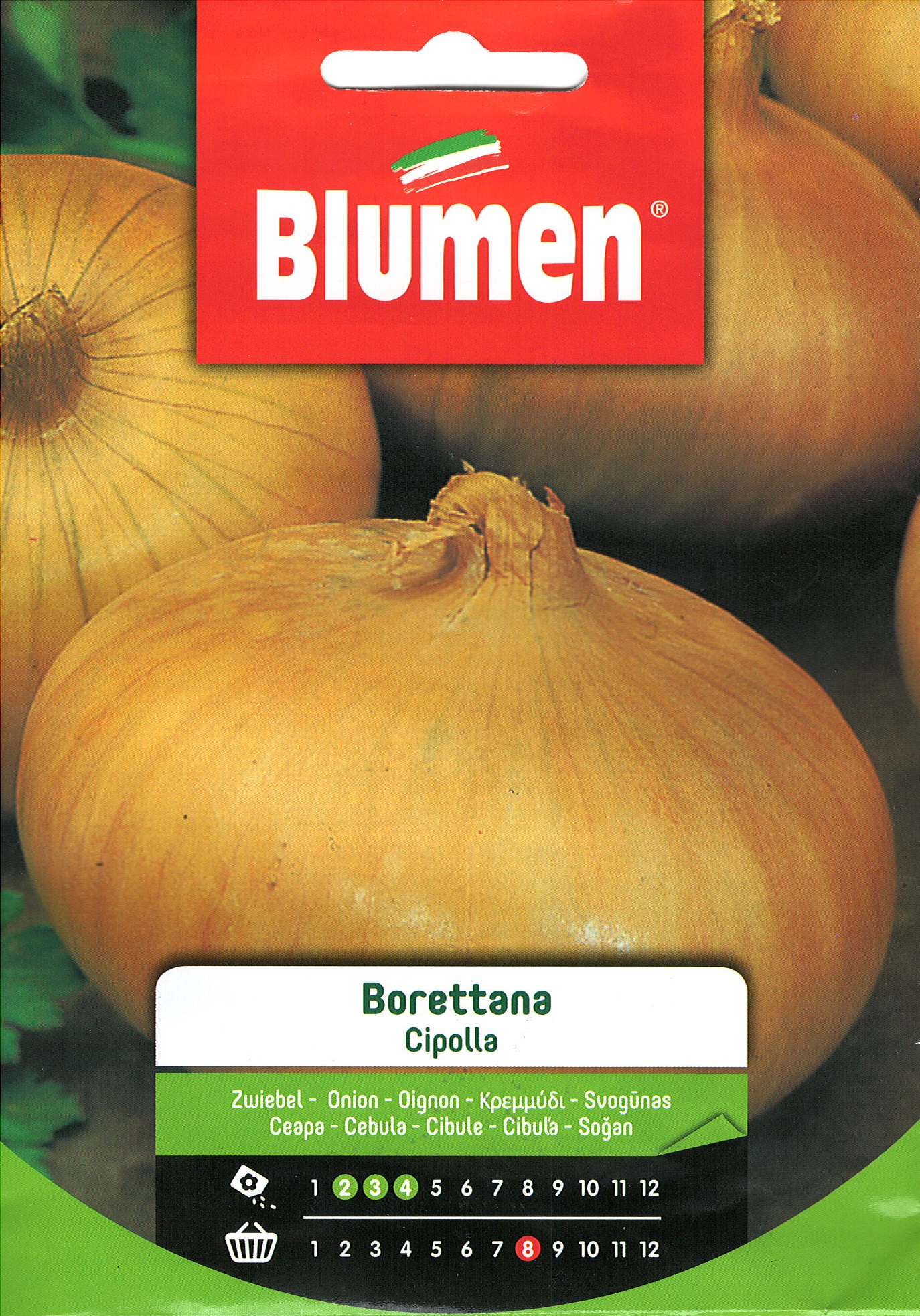 Blumen Klasszikus - Hagyma "Borettana"