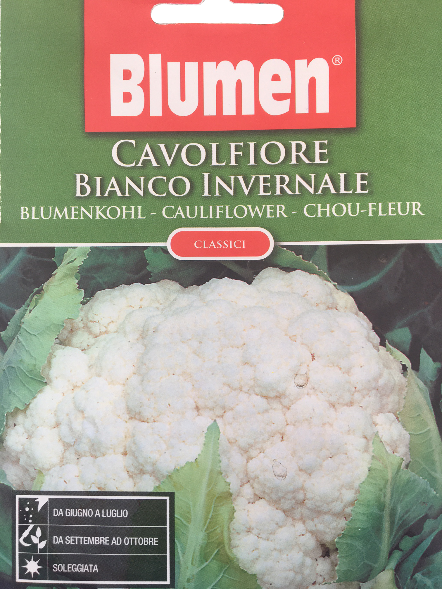 Blumen Klasszikus - Hófehér karfiol