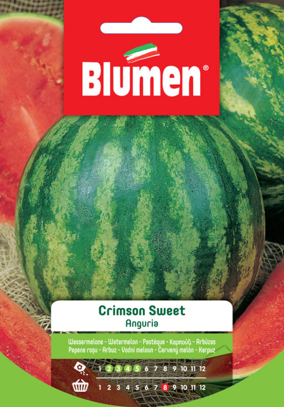 Blumen Klasszikus - Crimson édes görögdinnye