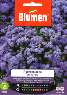 Blumen Virág - Kék bojtocska -alacsony 