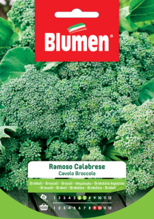 Blumen Klasszikus - Calabriai brokkoli