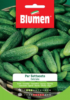 Blumen Klasszikus - Savanyításra való uborka